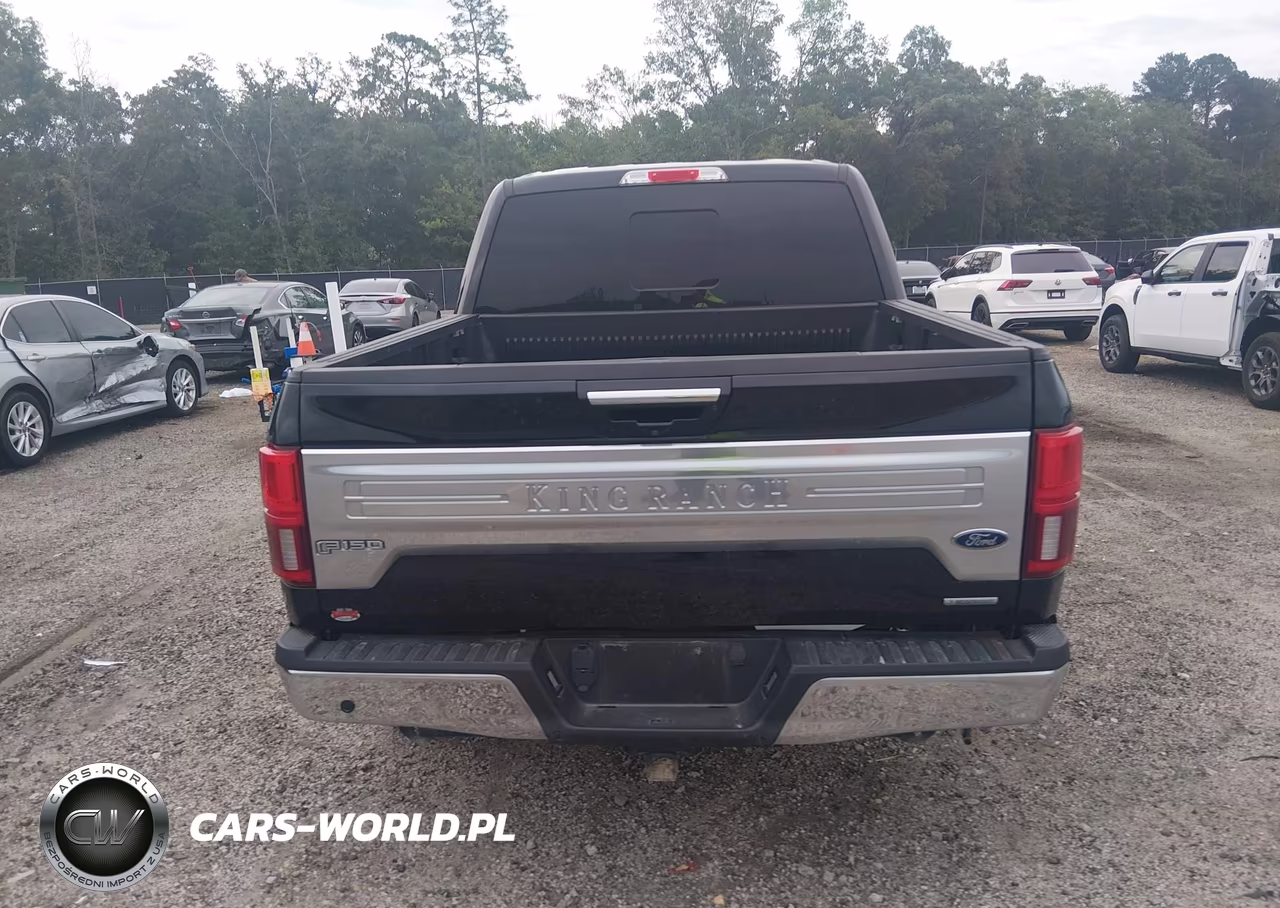 2020 Ford F-150 King Ranch VIN:1FTEW1E49LFB11380 - 17
