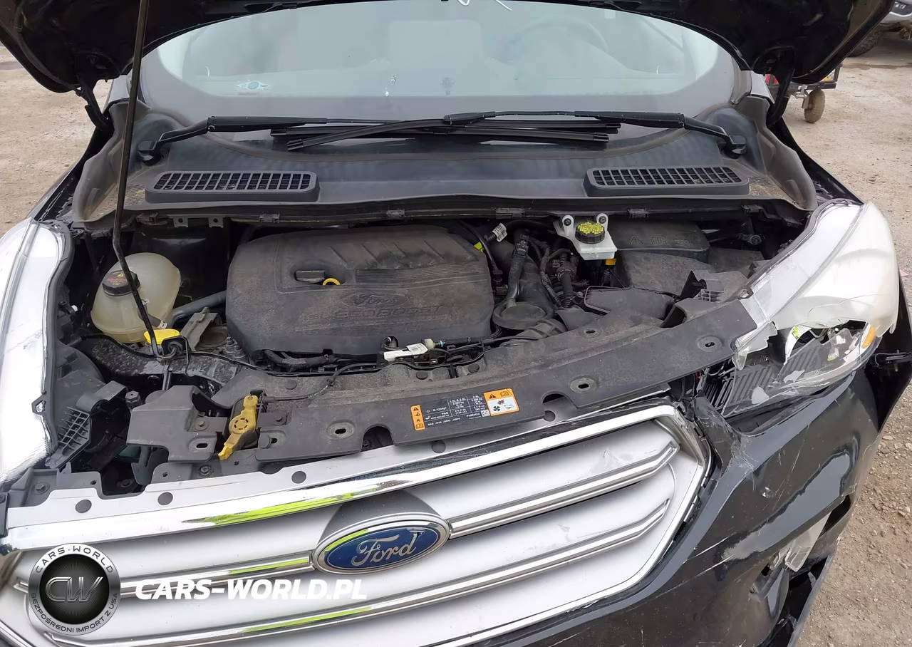 2017 Ford Escape Se VIN:1FMCU9GDXHUD64487 - 10