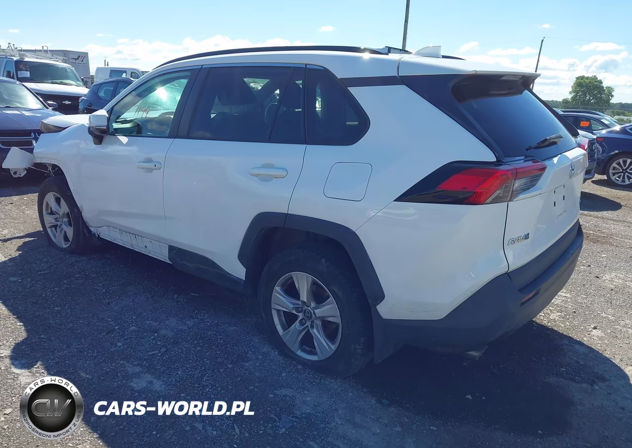 2019 Toyota Rav4 Xle VIN:2T3P1RFV3KC025087 - 3