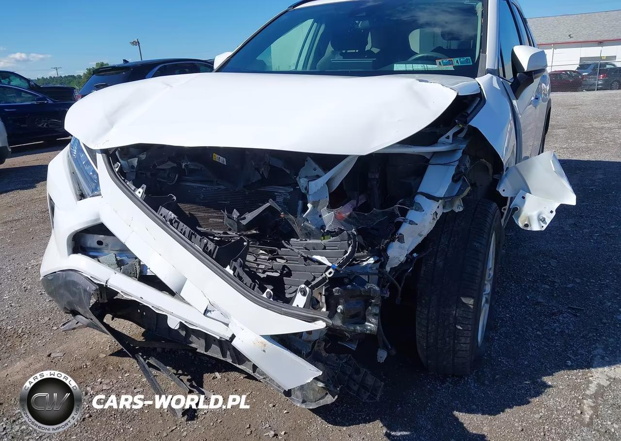 2019 Toyota Rav4 Xle VIN:2T3P1RFV3KC025087 - 6