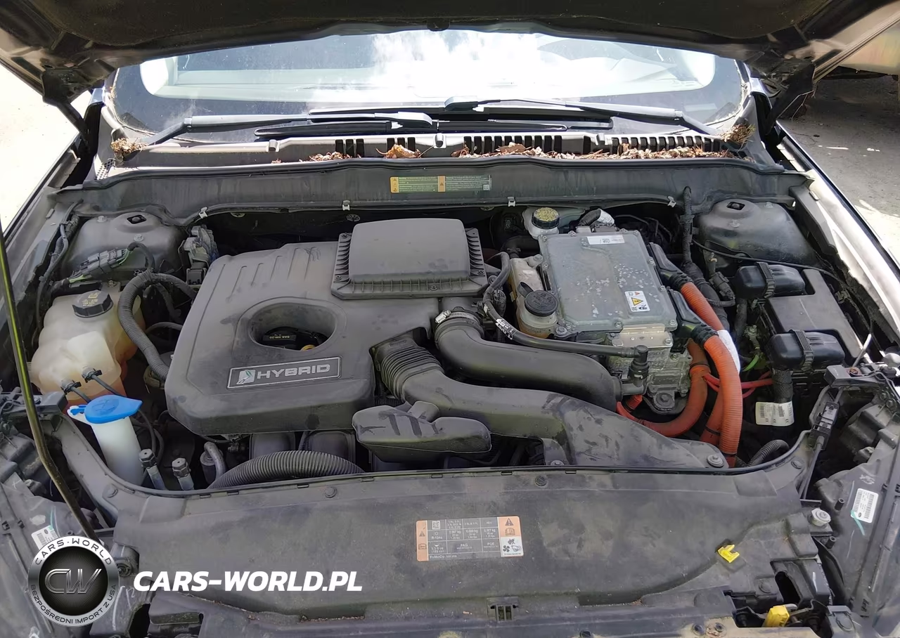 2013 Ford Fusion Hybrid Se VIN:3FA6P0LU1DR318757 - 10