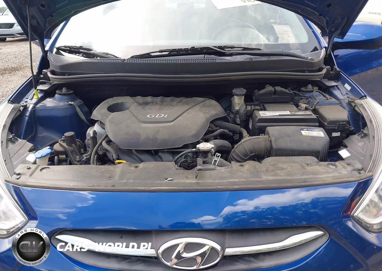 2017 Hyundai Accent Se VIN:KMHCT4AE5HU251828 - 10