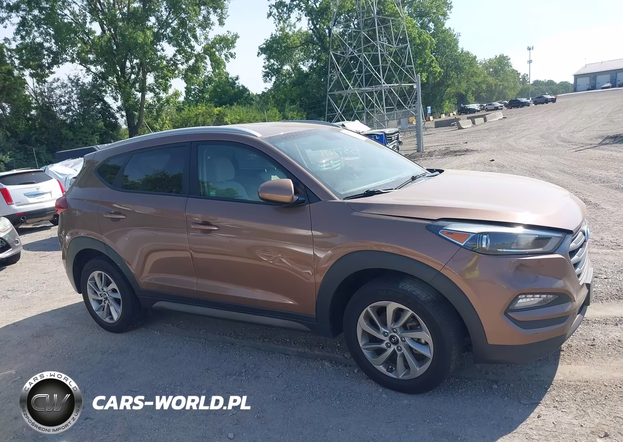 2016 Hyundai Tucson Se VIN:KM8J3CA48GU239826 - 13