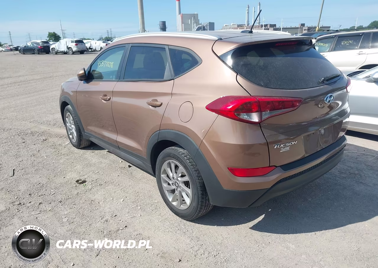 2016 Hyundai Tucson Se VIN:KM8J3CA48GU239826 - 3