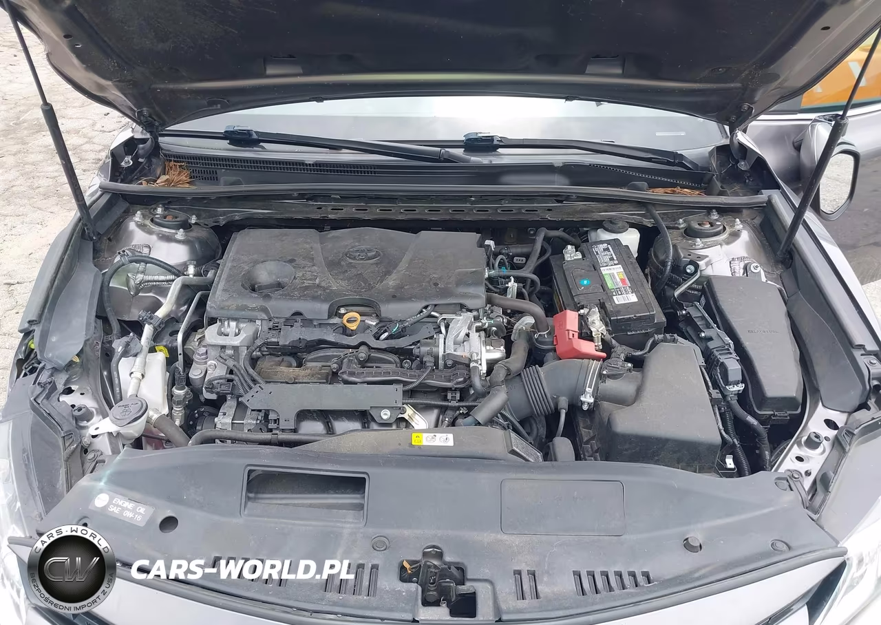 2019 Toyota Camry Le VIN:4T1B11HK6KU265336 - 10