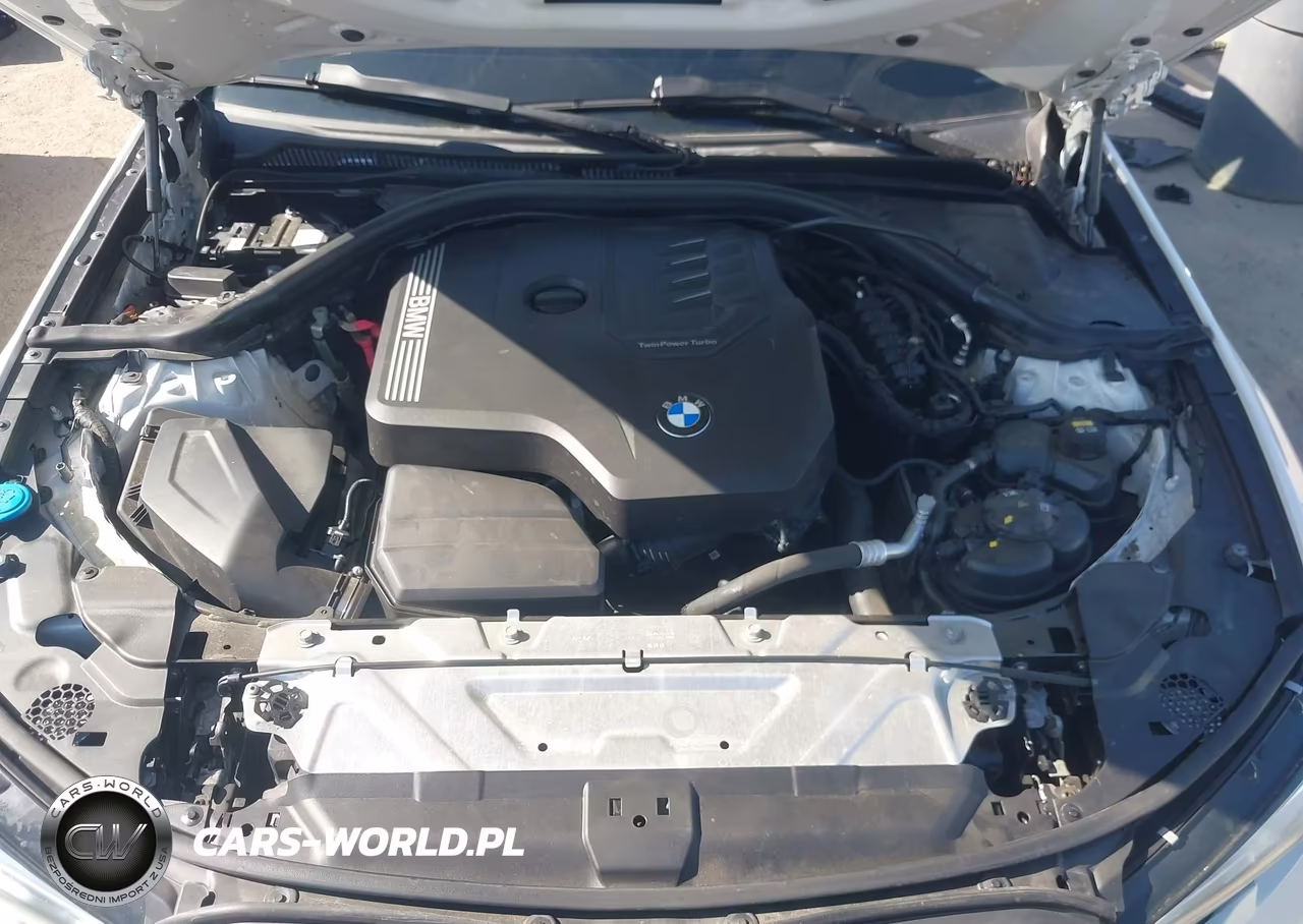 2020 BMW 330I VIN:3MW5R1J05L8B32405 - 10