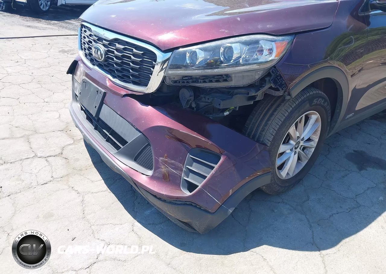 2020 Kia Sorento 2.4L Lx VIN:5XYPGDA31LG640162 - 17