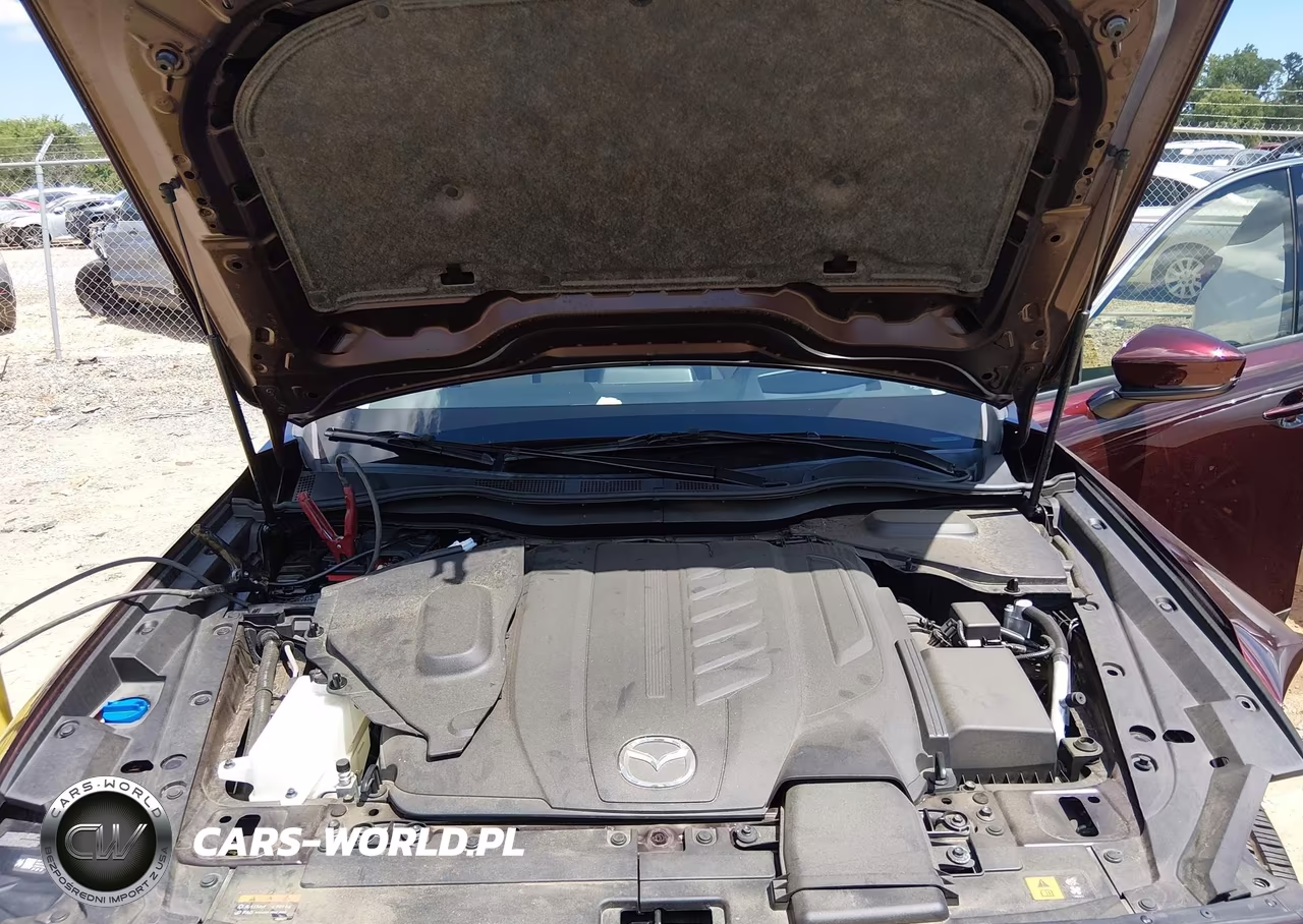 2024 Mazda Cx-90 3.3 Turbo Premium VIN:JM3KKDHDXR1126687 - 10