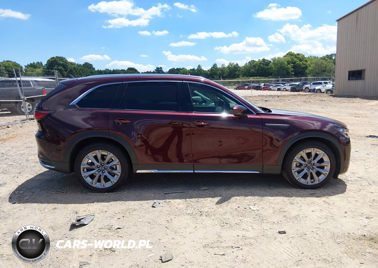 2024 Mazda Cx-90 3.3 Turbo Premium VIN:JM3KKDHDXR1126687 - 13