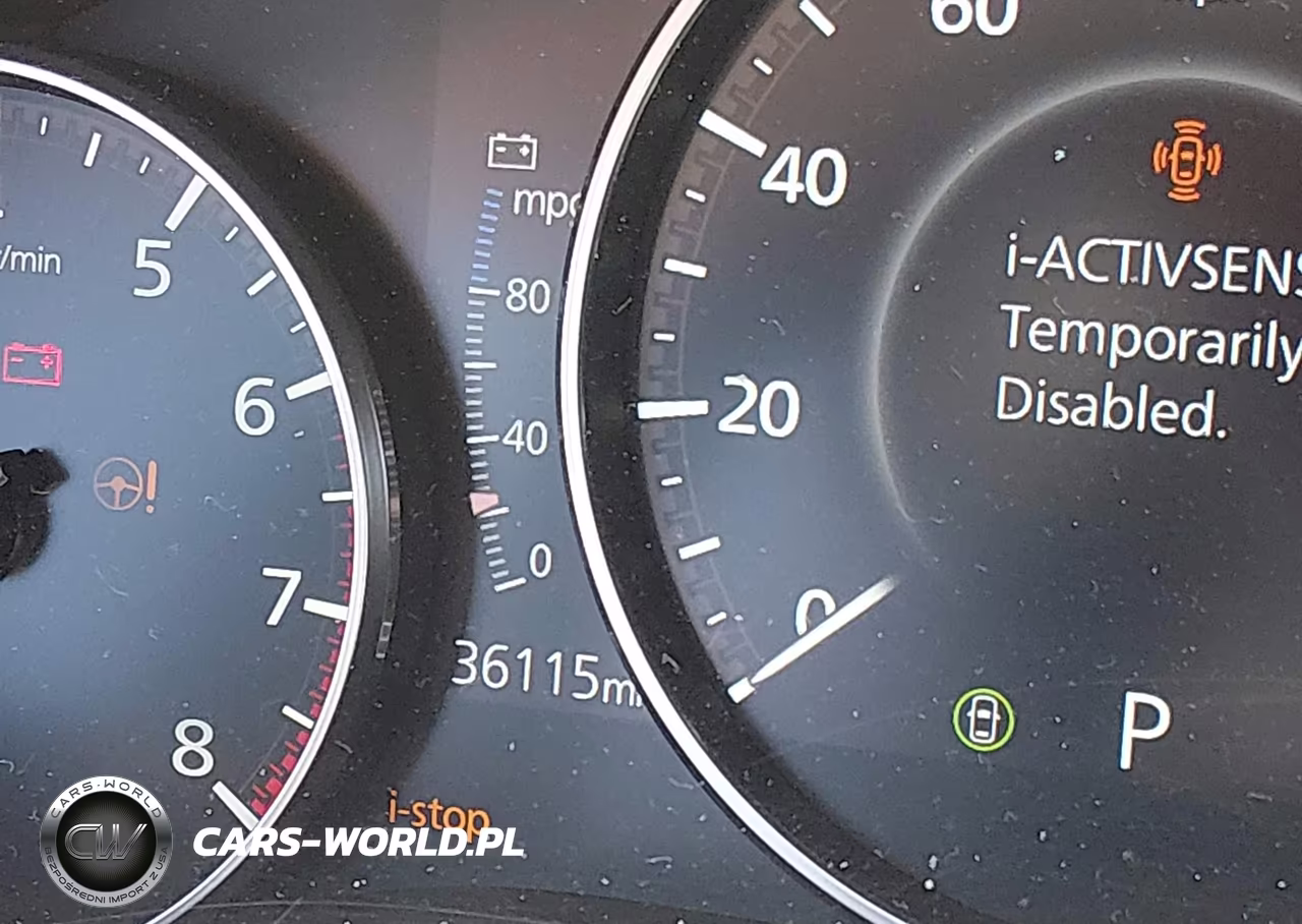 2024 Mazda Cx-90 3.3 Turbo Premium VIN:JM3KKDHDXR1126687 - 15