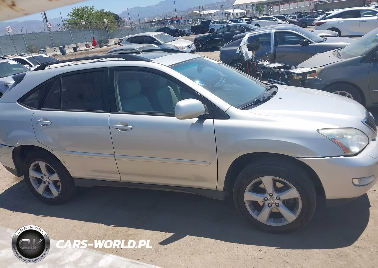 2004 Lexus Rx 330 VIN:JTJGA31U540021167 - 13