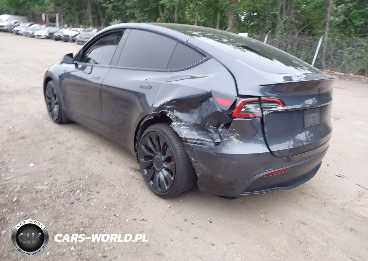 2022 Tesla Model Y Performance Dual Motor All-Wheel Drive VIN:7SAYGDEF6NF372523 - 3