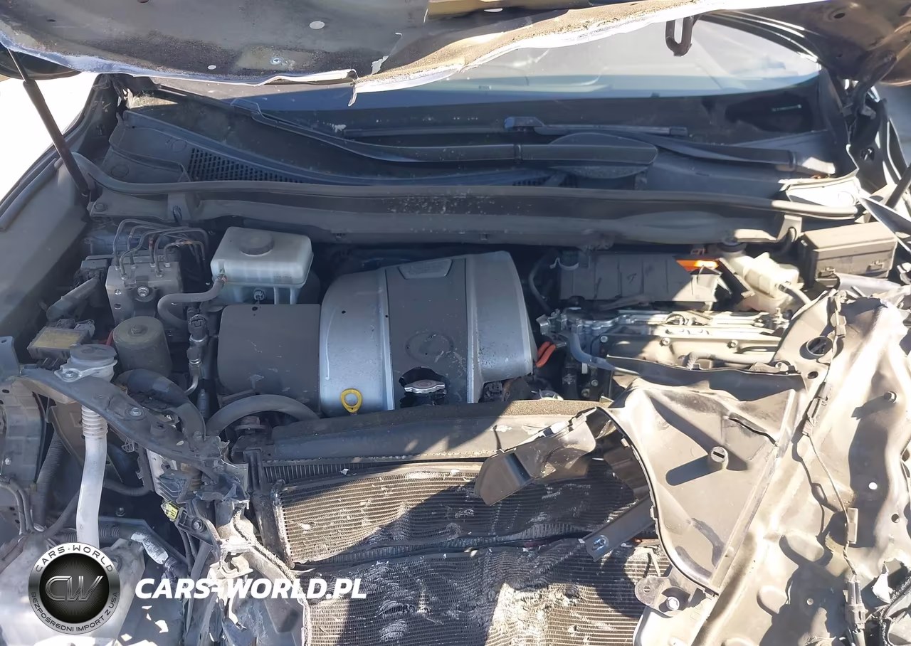 2020 Lexus Rx 450H F Sport VIN:2T2SGMDA7LC049135 - 10