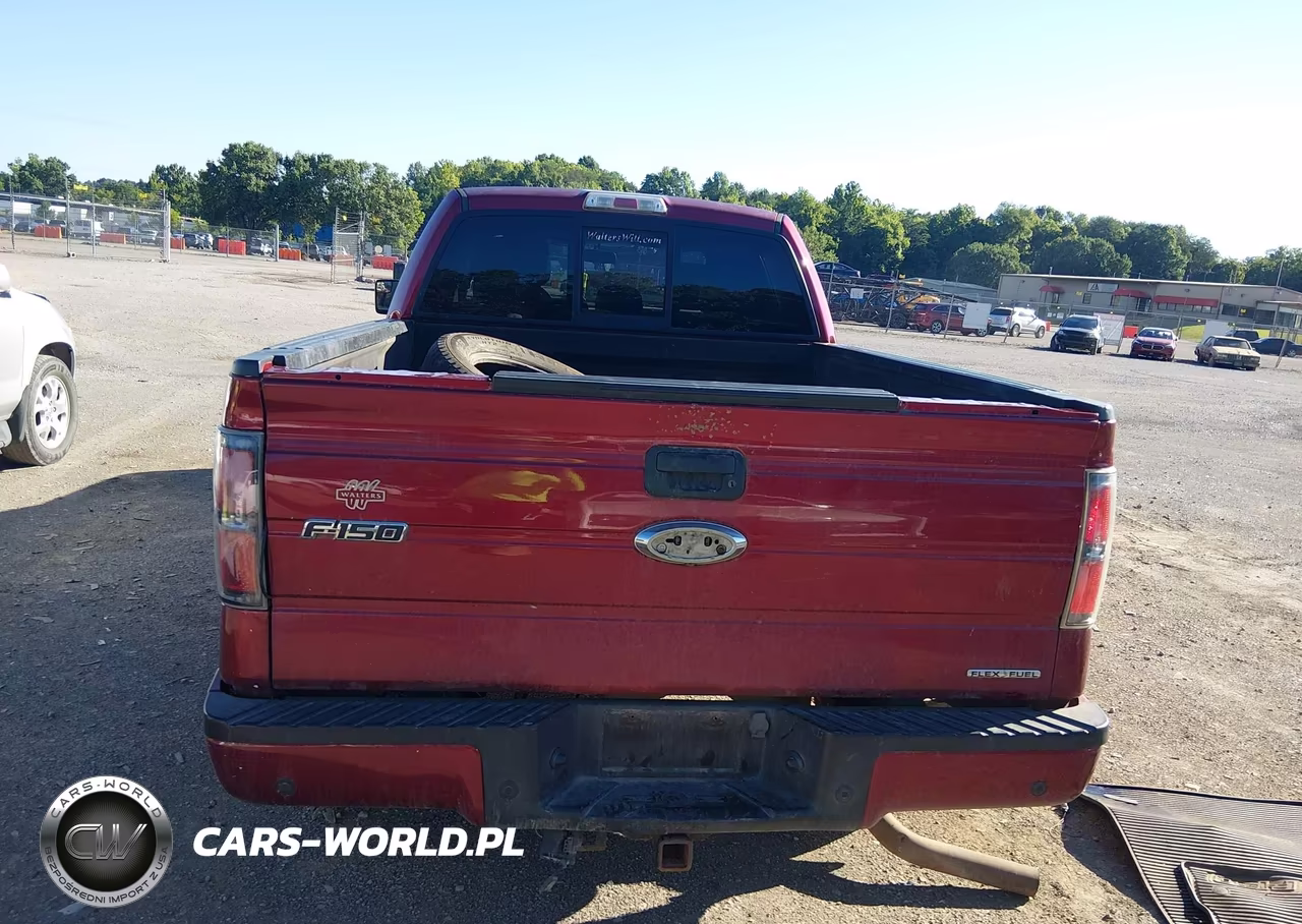 2014 Ford F-150 Fx4 VIN:1FTFW1EF0EFC37863 - 17