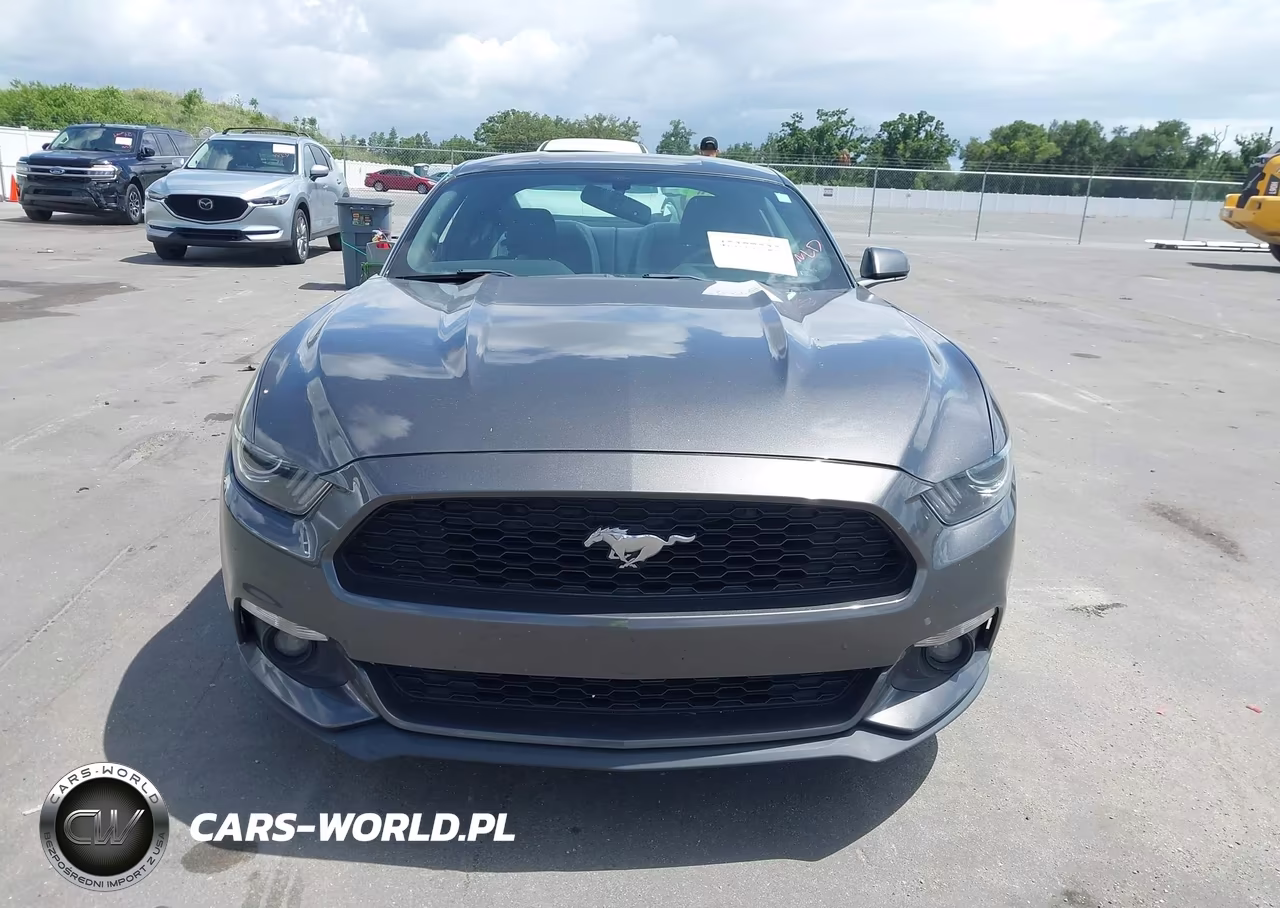 2017 Ford Mustang Ecoboost VIN:1FA6P8THXH5276180 - 13
