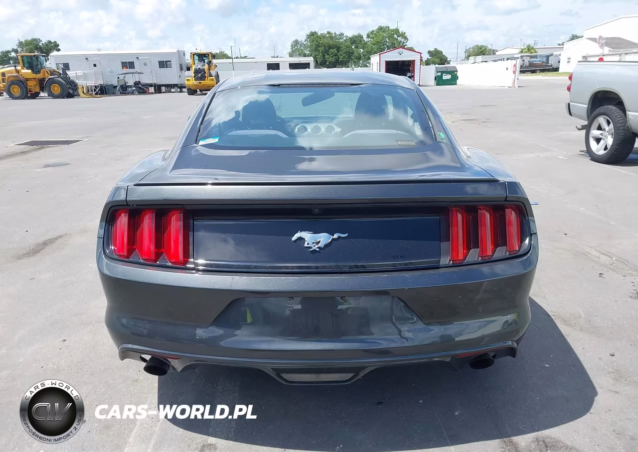 2017 Ford Mustang Ecoboost VIN:1FA6P8THXH5276180 - 17
