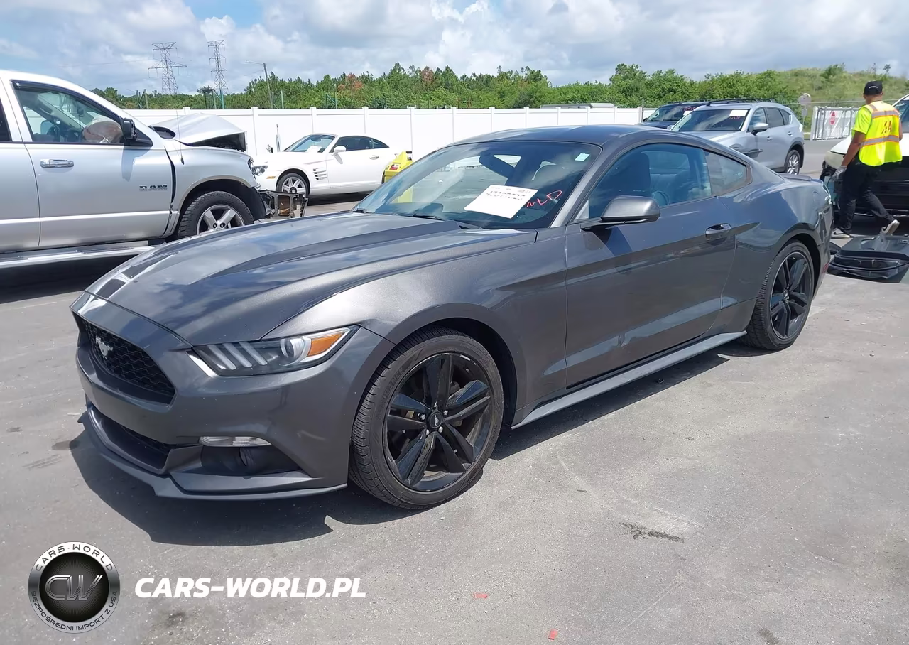 2017 Ford Mustang Ecoboost VIN:1FA6P8THXH5276180 - 2