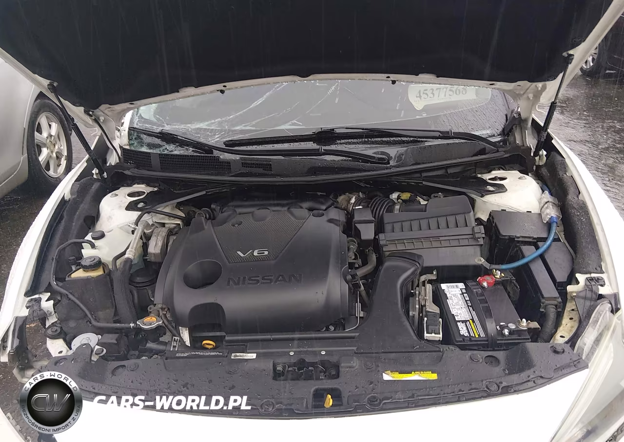 2018 Nissan Maxima 3.5 Platinum VIN:1N4AA6AP7JC393002 - 10