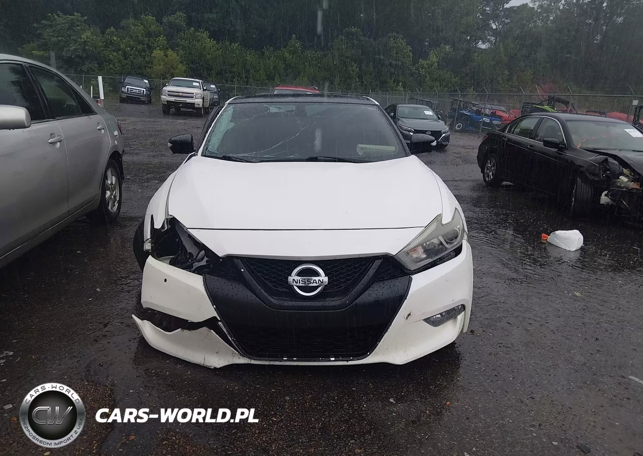 2018 Nissan Maxima 3.5 Platinum VIN:1N4AA6AP7JC393002 - 11