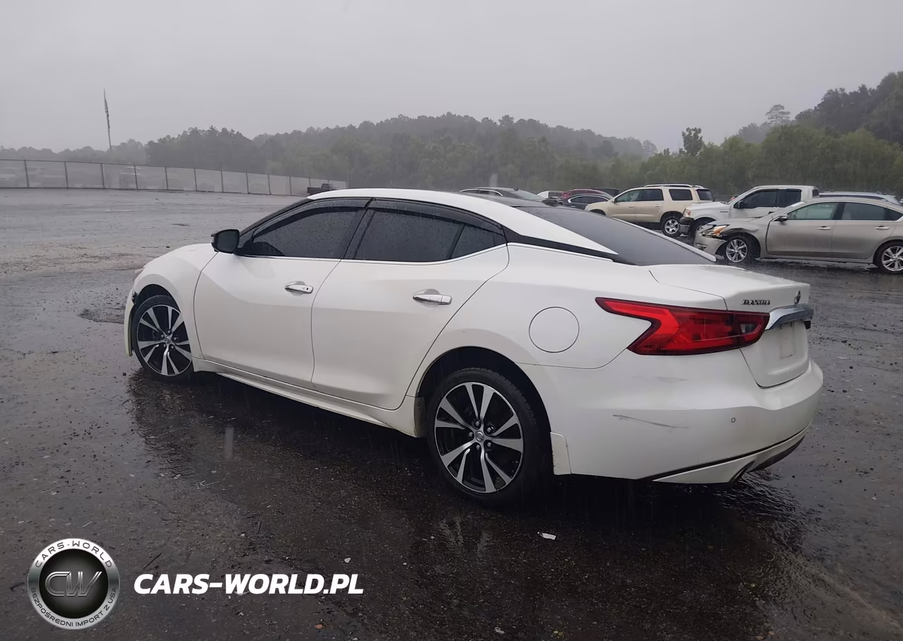 2018 Nissan Maxima 3.5 Platinum VIN:1N4AA6AP7JC393002 - 3