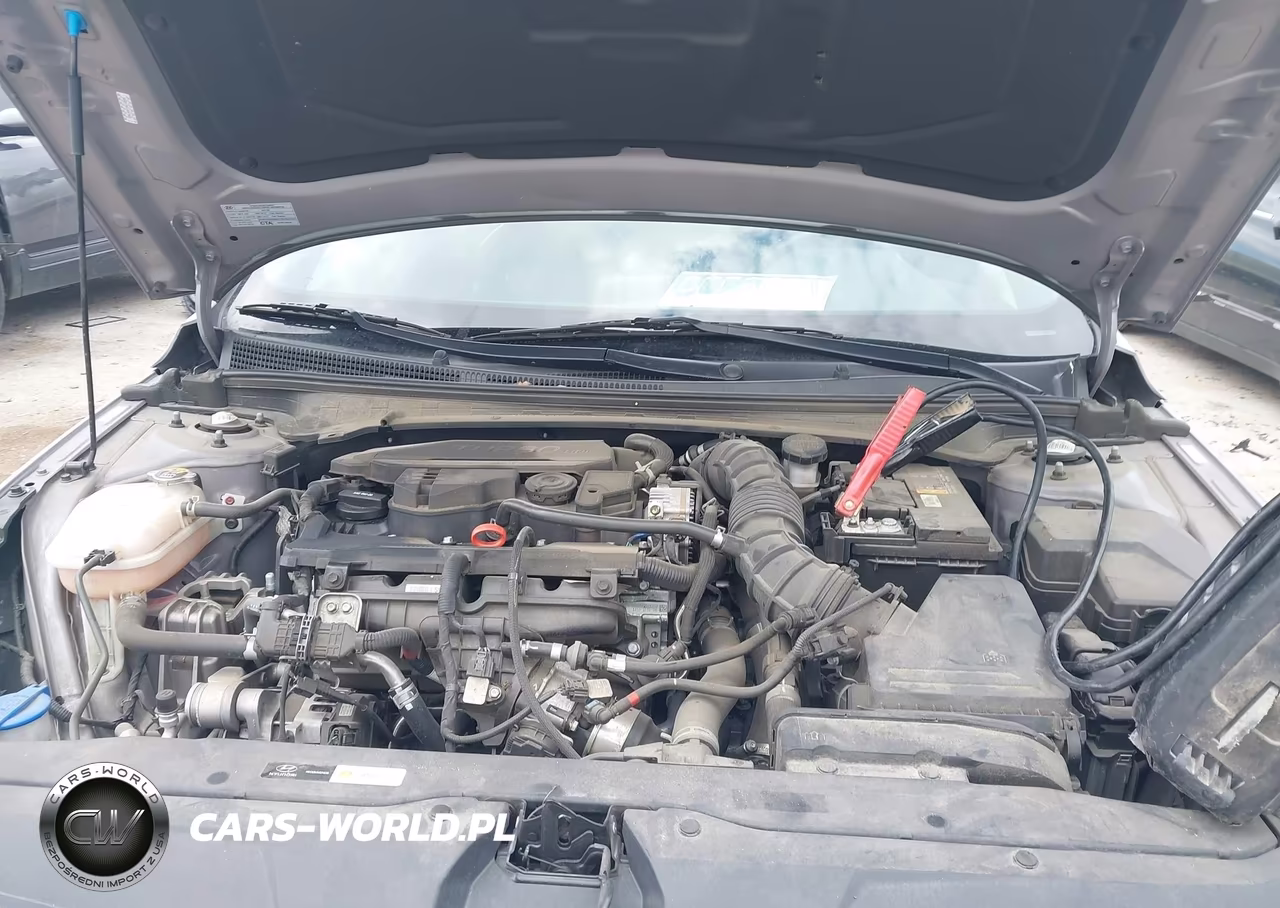 2021 Hyundai Elantra N Line VIN:KMHLR4AFXMU193698 - 10