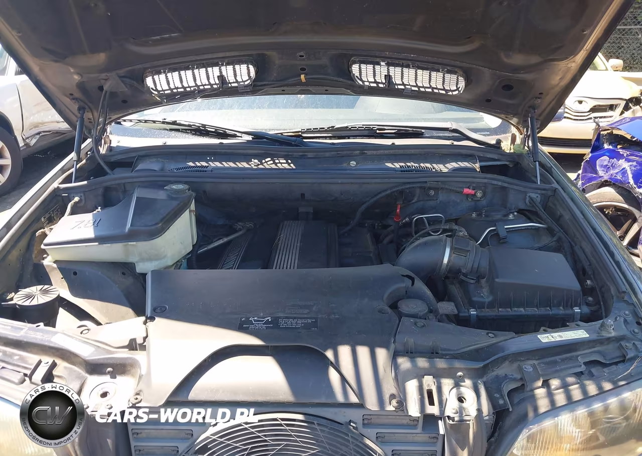 2002 BMW X5 3.0I VIN:5UXFA53562LP43435 - 10
