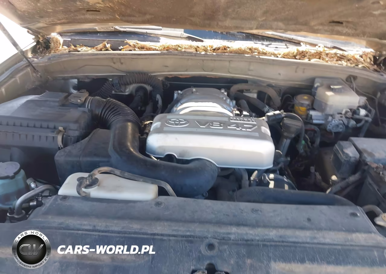 2004 Toyota 4Runner Sr5 V8 VIN:JTEBT14R348016209 - 10