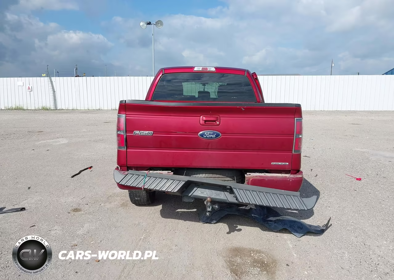 2013 Ford F-150 Fx2 VIN:1FTFW1CF6DFD67907 - 16