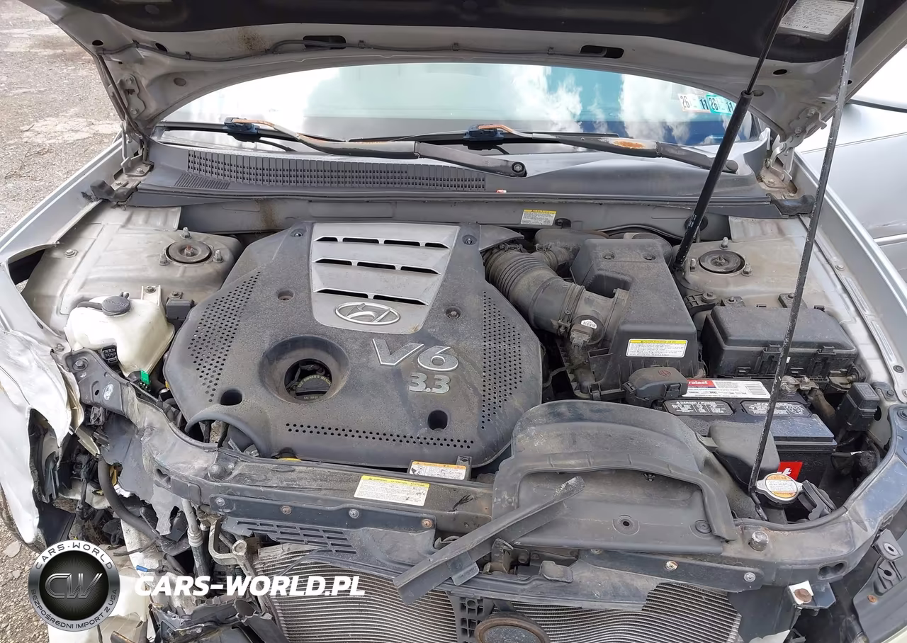 2006 Hyundai Sonata Gls V6-Lx V6 VIN:5NPEU46F26H074755 - 10