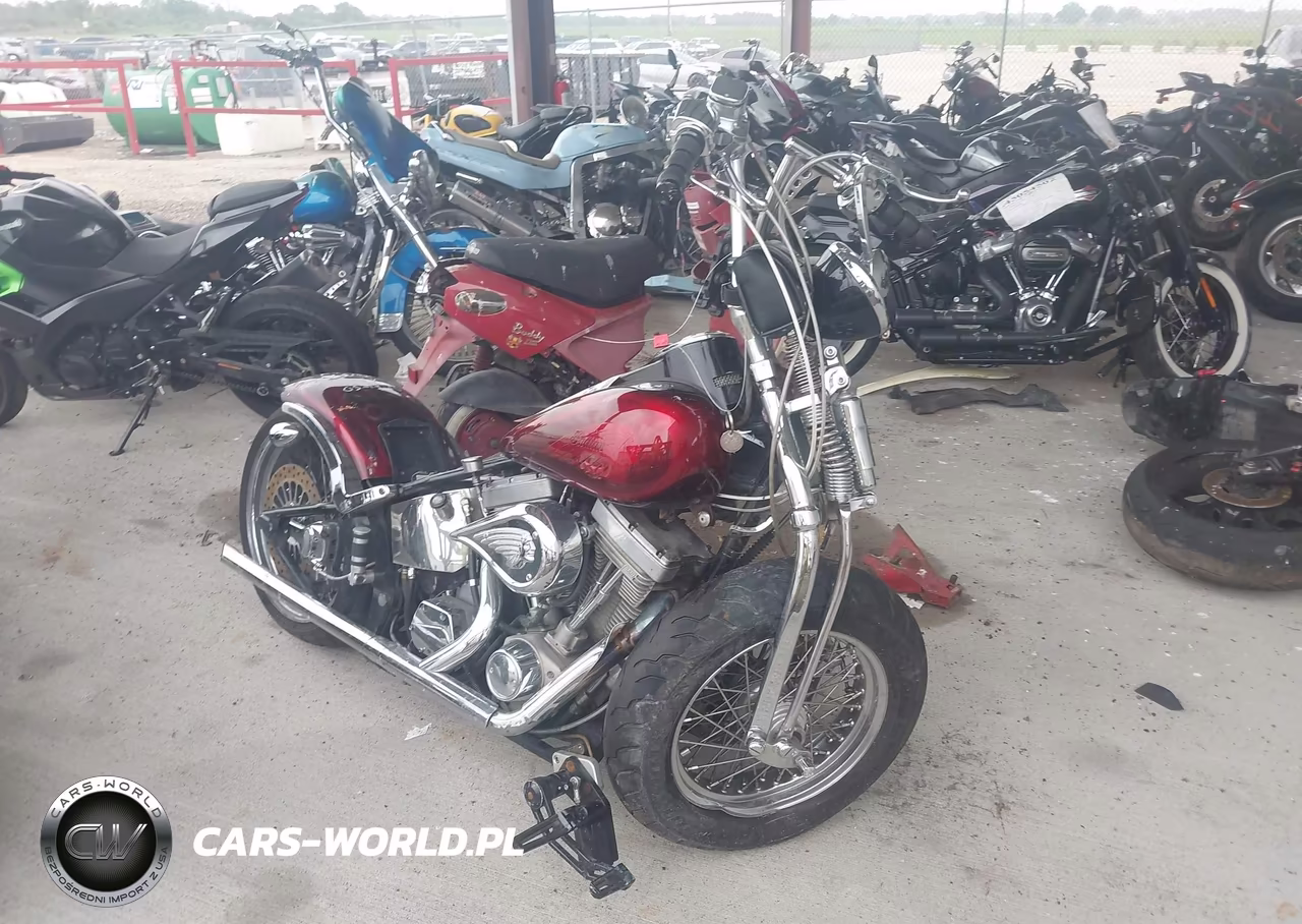2002 Indian Motorcycle Co. Spirit – zdjęcie 1 z 13