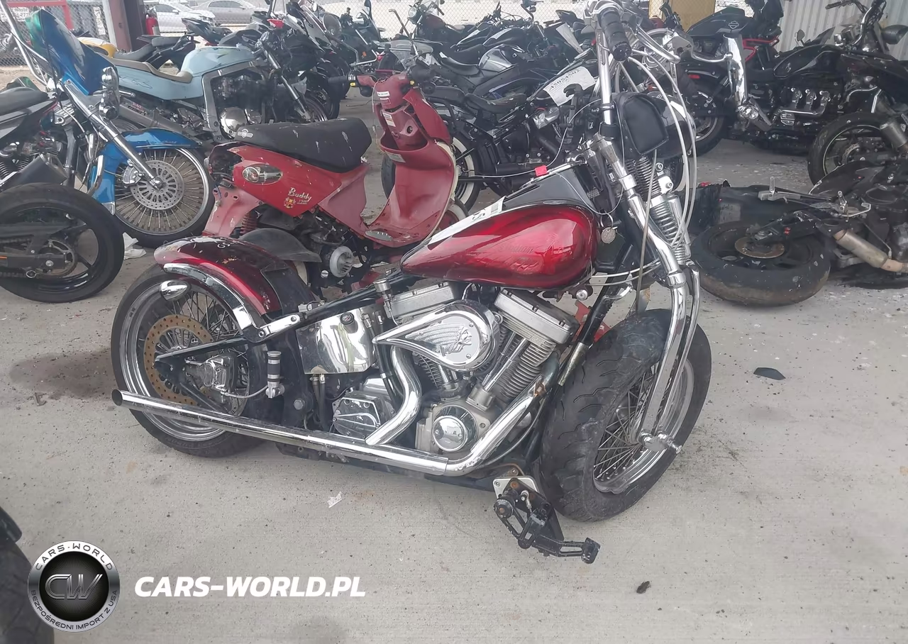 2002 Indian Motorcycle Co. Spirit VIN:5CDM5B5172G004257 - 12
