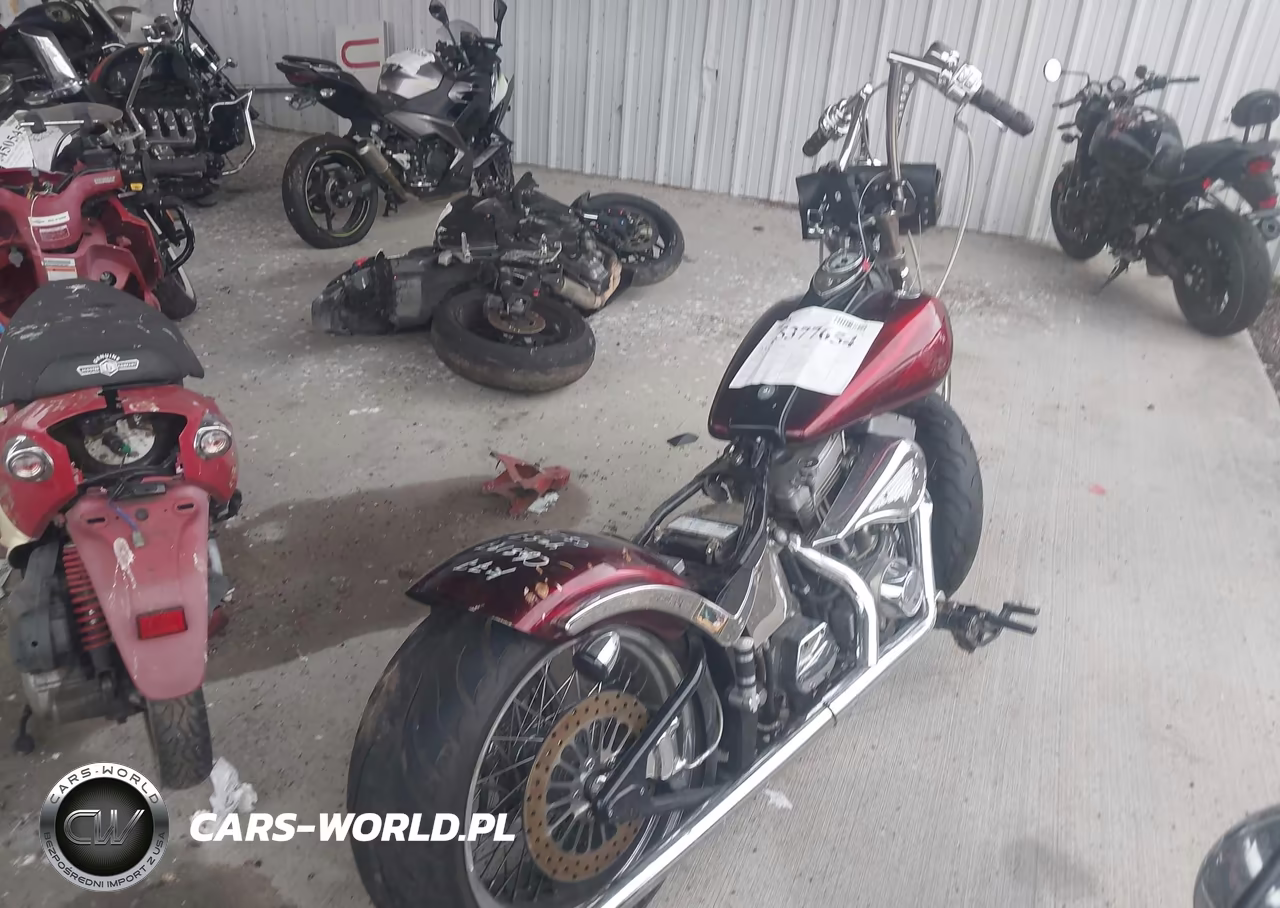 2002 Indian Motorcycle Co. Spirit VIN:5CDM5B5172G004257 - 4