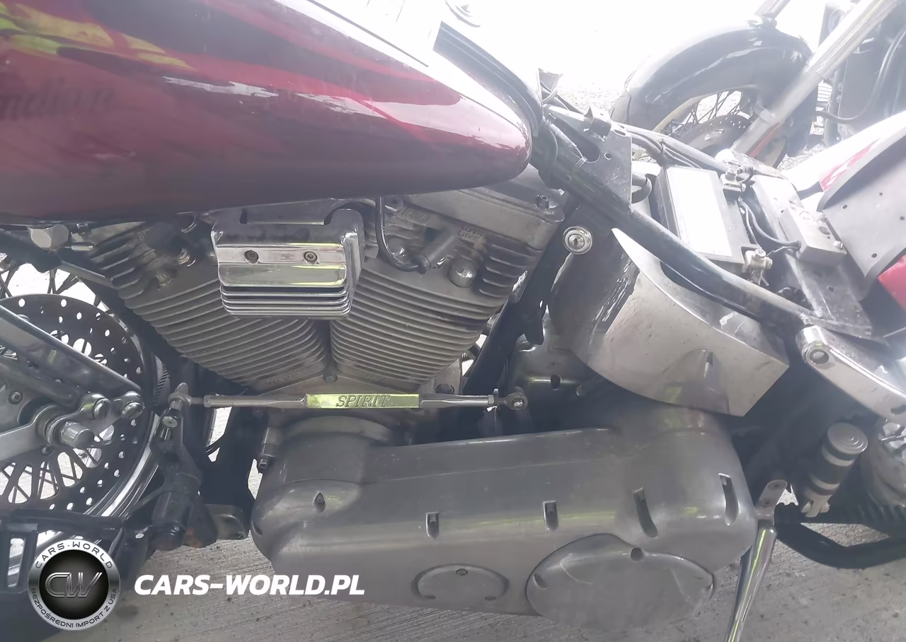 2002 Indian Motorcycle Co. Spirit VIN:5CDM5B5172G004257 - 9