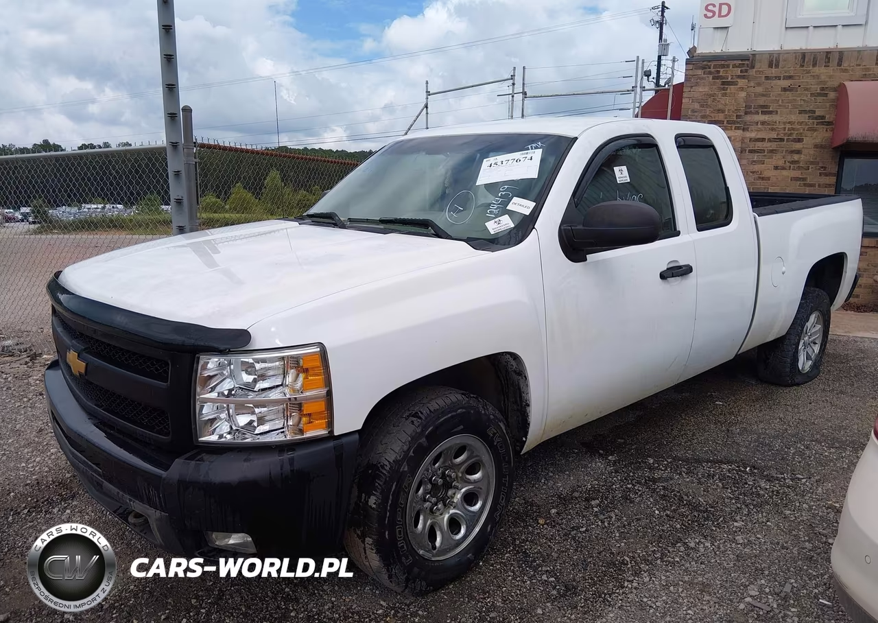 2010 Chevrolet Silverado 1500 Work Truck VIN:1GCSCPEX9AZ124439 - 2