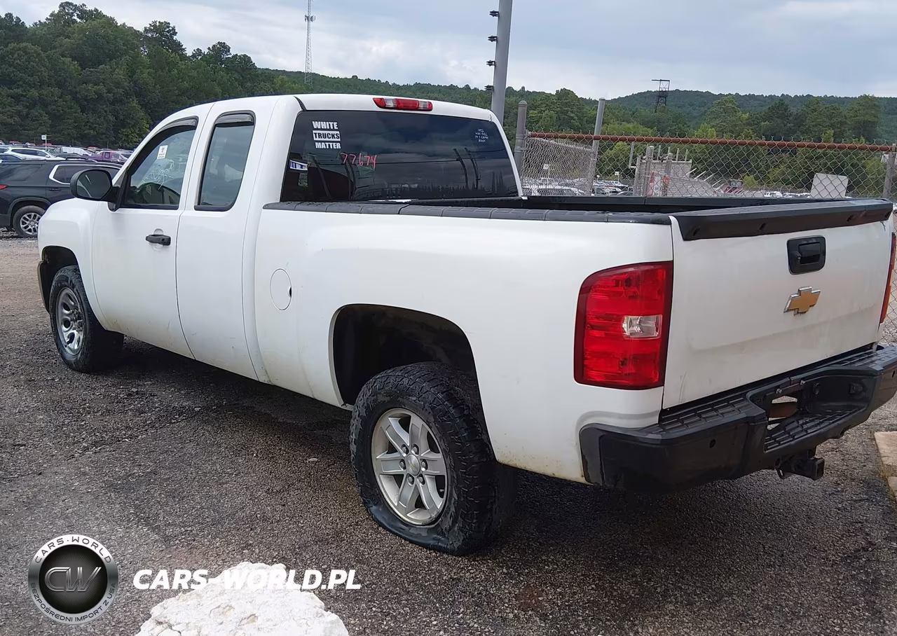 2010 Chevrolet Silverado 1500 Work Truck VIN:1GCSCPEX9AZ124439 - 3