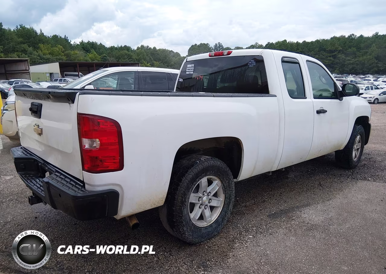2010 Chevrolet Silverado 1500 Work Truck VIN:1GCSCPEX9AZ124439 - 4