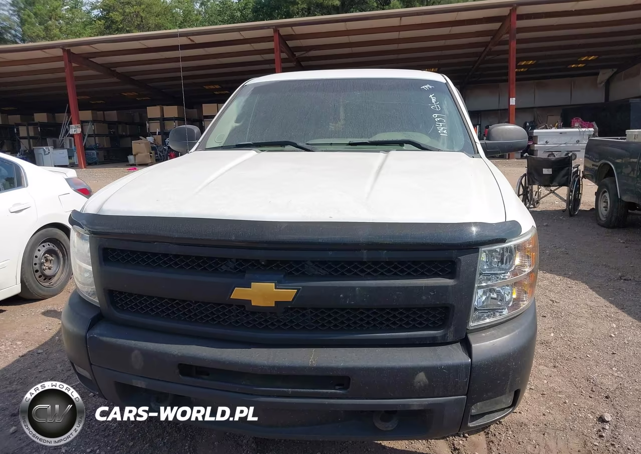 2010 Chevrolet Silverado 1500 Work Truck VIN:1GCSCPEX9AZ124439 - 6