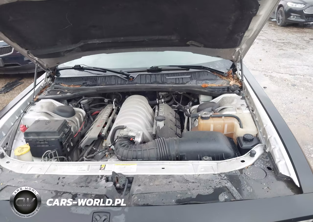 2010 Dodge Challenger Srt8 VIN:2B3CJ7DWXAH131498 - 10