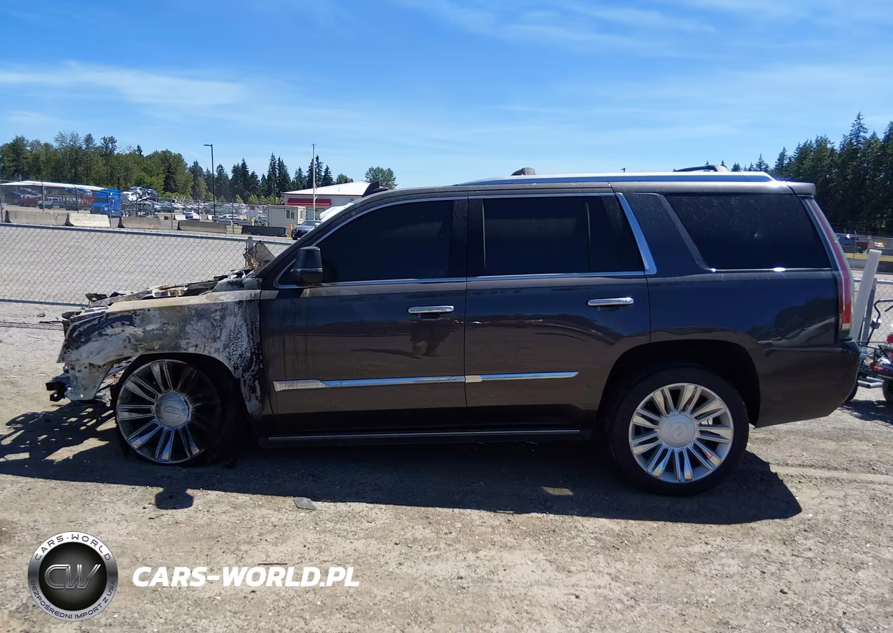 2017 Cadillac Escalade Premium Luxury VIN:1GYS4CKJ4HR301022 - 13