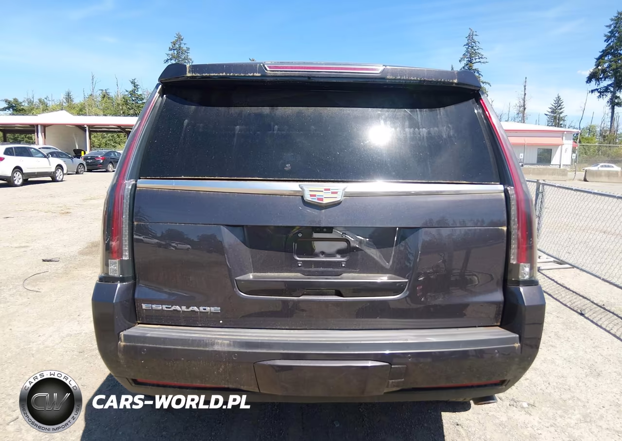 2017 Cadillac Escalade Premium Luxury VIN:1GYS4CKJ4HR301022 - 15