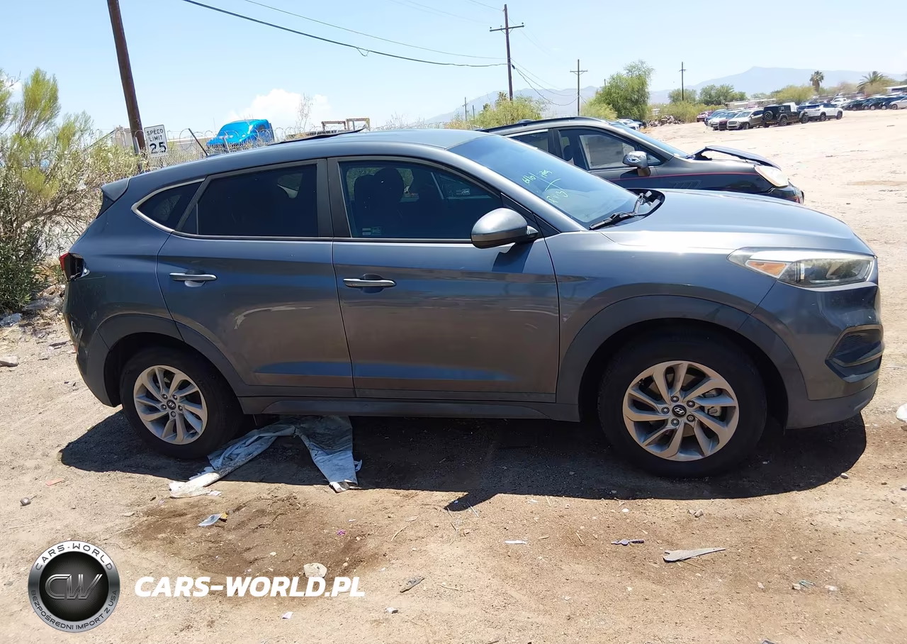 2017 Hyundai Tucson Se VIN:KM8J23A49HU547141 - 12