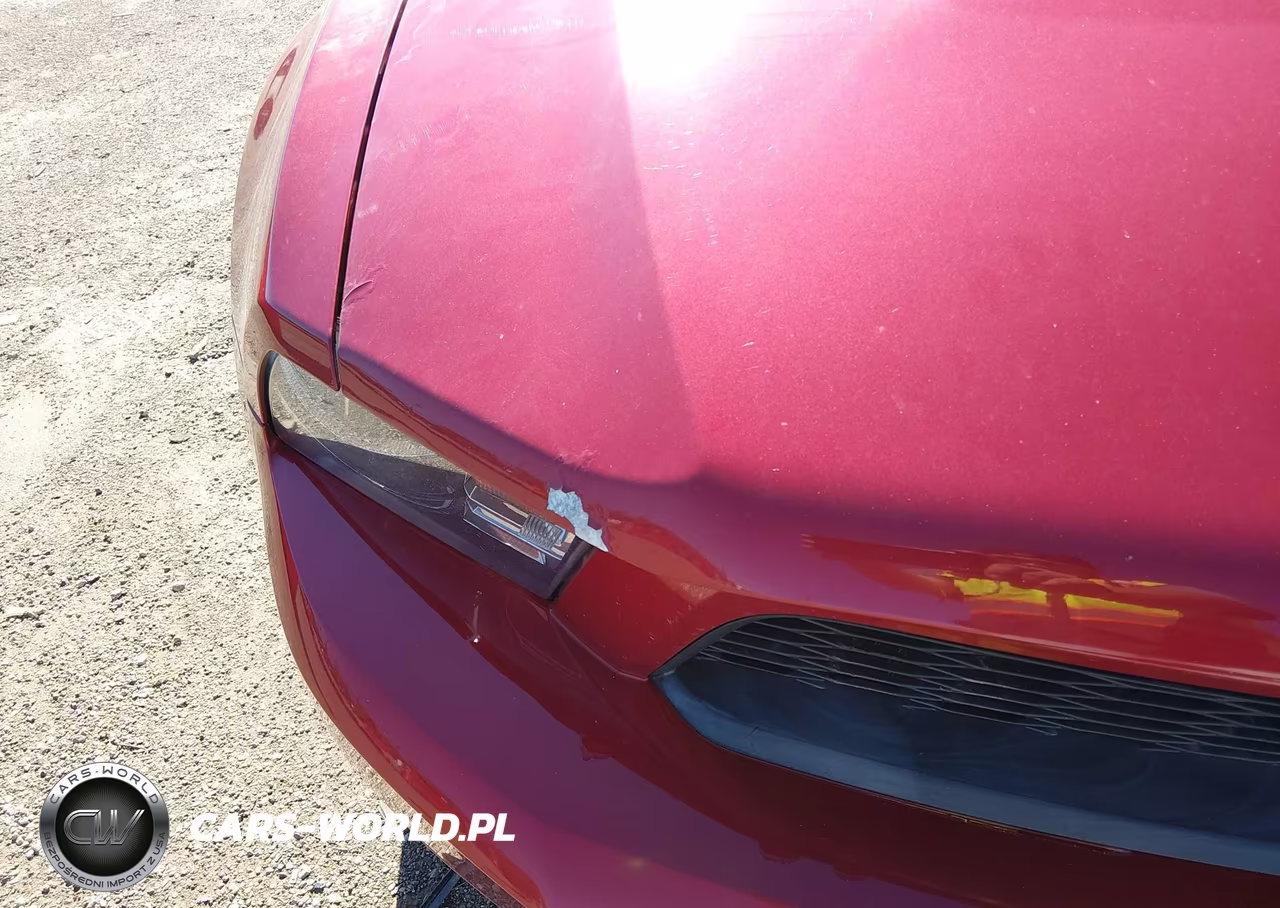 2010 Ford Mustang V6-V6 Premium VIN:1ZVBP8AN0A5147837 - 6
