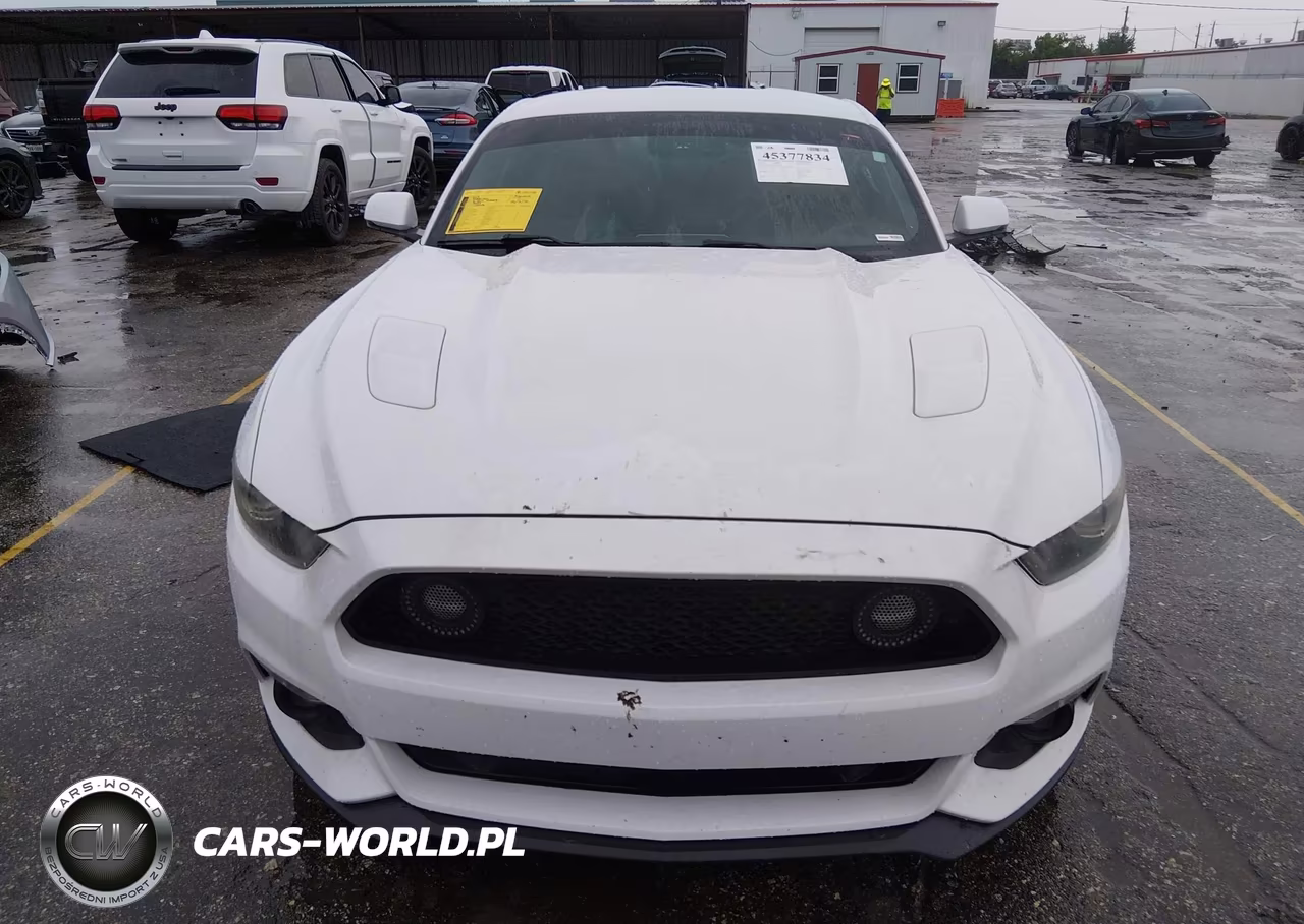 2015 Ford Mustang Gt Premium VIN:1FA6P8CF6F5369421 - 12