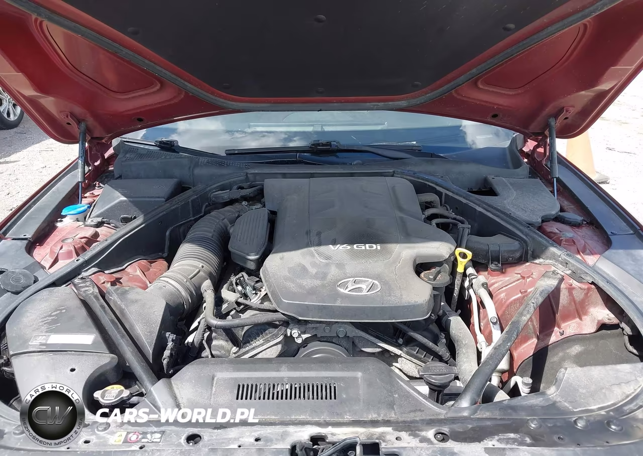 2016 Hyundai Genesis 3.8 VIN:KMHGN4JE0GU107968 - 10