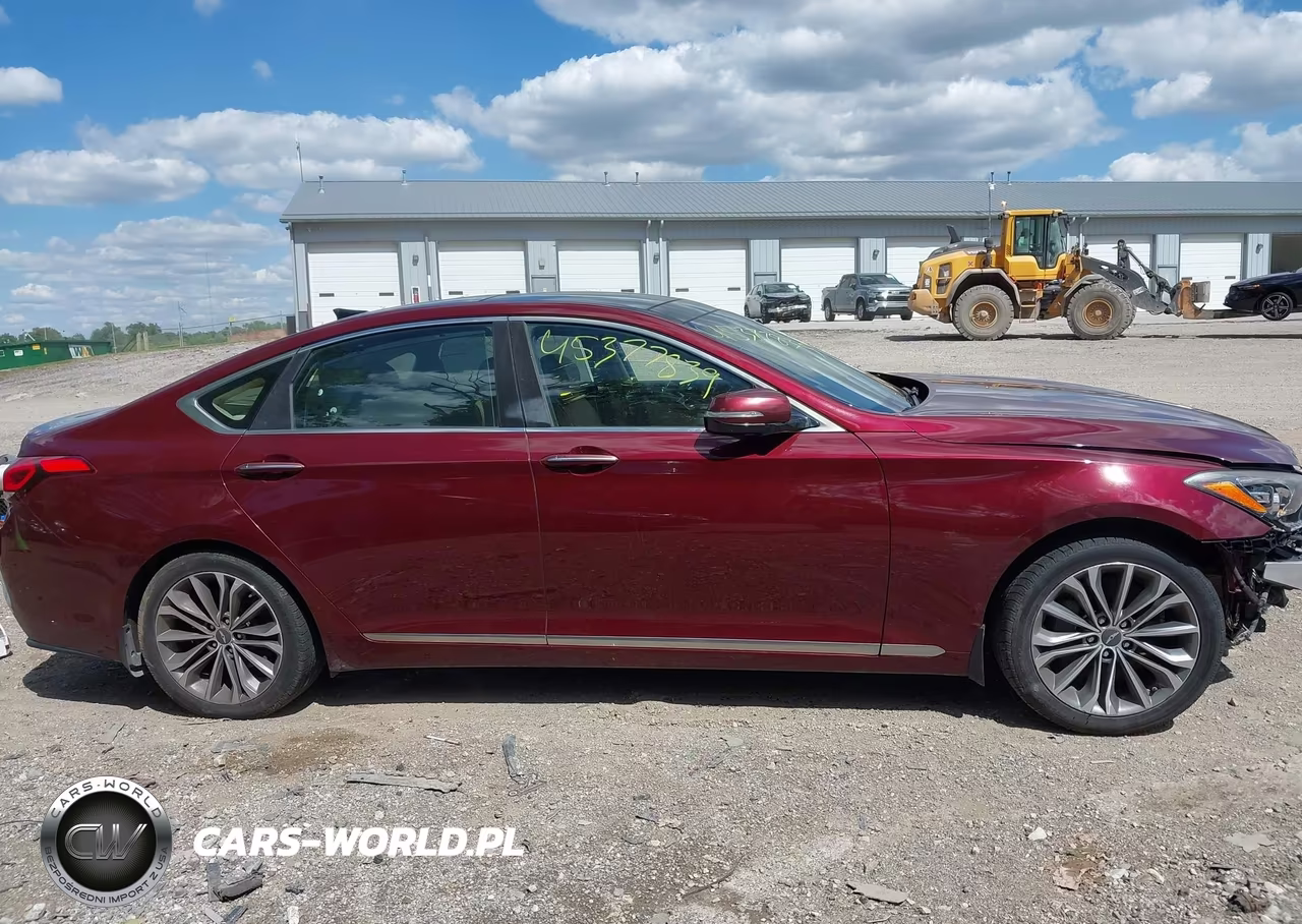 2016 Hyundai Genesis 3.8 VIN:KMHGN4JE0GU107968 - 13