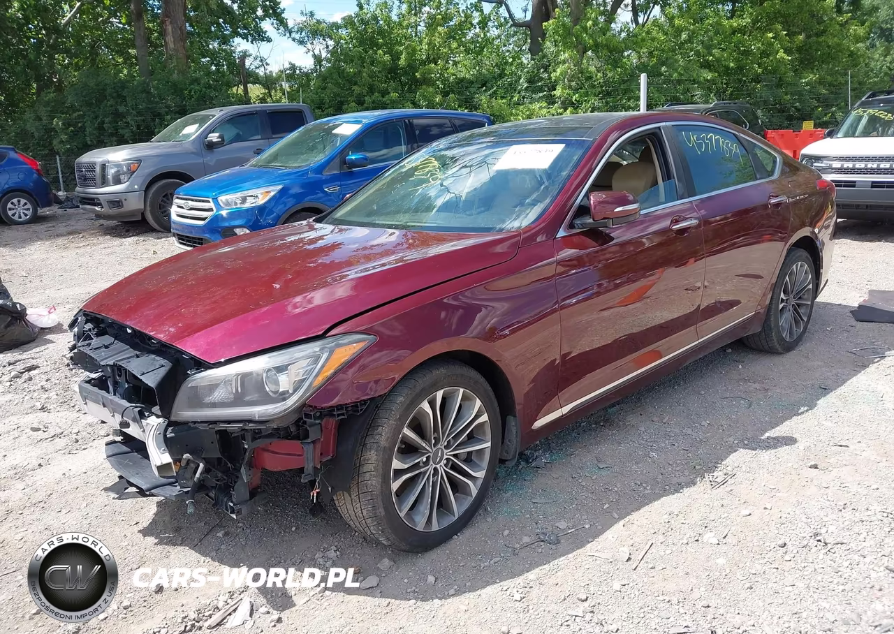 2016 Hyundai Genesis 3.8 VIN:KMHGN4JE0GU107968 - 2