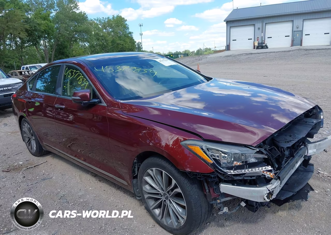 2016 Hyundai Genesis 3.8 VIN:KMHGN4JE0GU107968 - 6