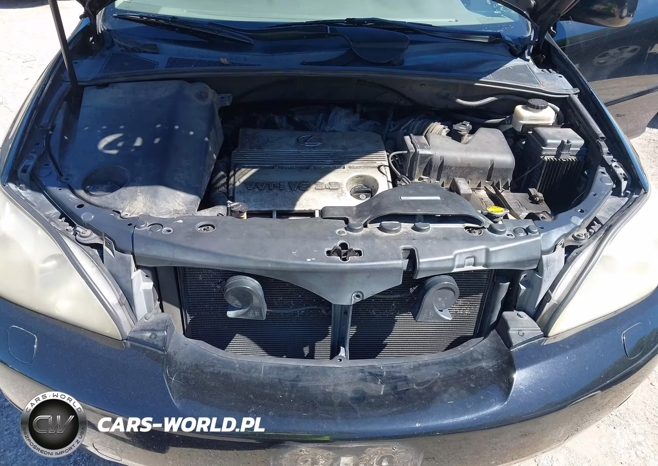 2005 Lexus Rx 330 VIN:2T2HA31U65C071554 - 10