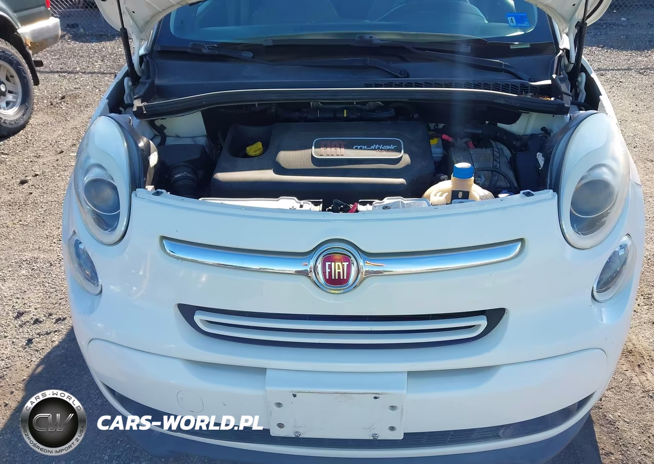 2014 Fiat 500L Lounge VIN:ZFBCFACH2EZ009100 - 6