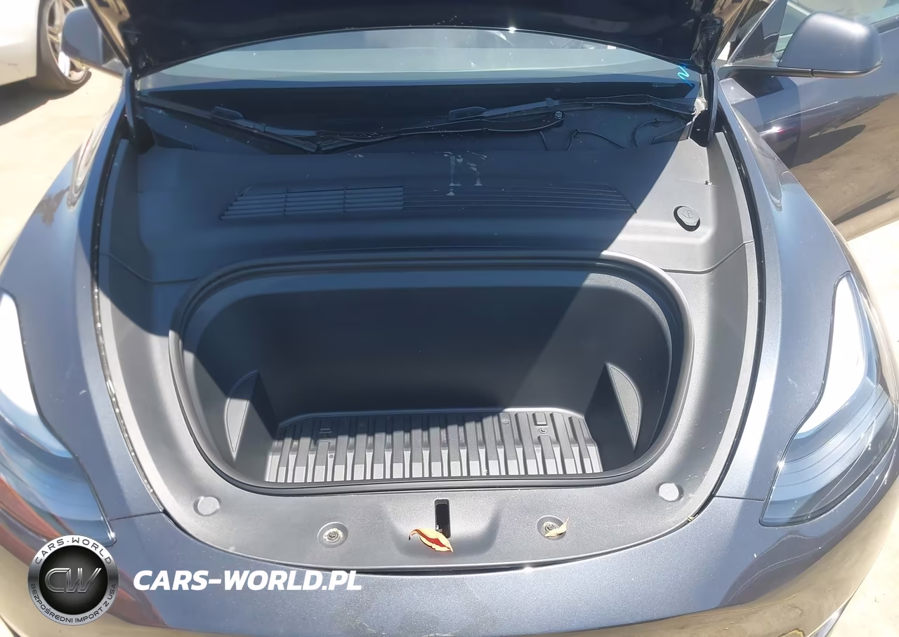 2024 Tesla Model Y Long Range Dual Motor All-Wheel Drive VIN:7SAYGDEE7RF182288 - 10